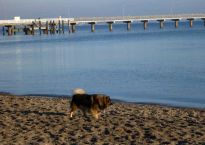 Tarras am Timmendorfer Strand beim toben